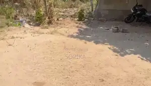 House and Land for Sale in Kankesanthurai