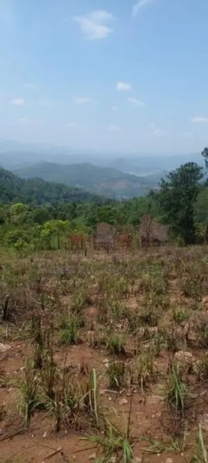 Scenic View Land for Sale in Kandy District