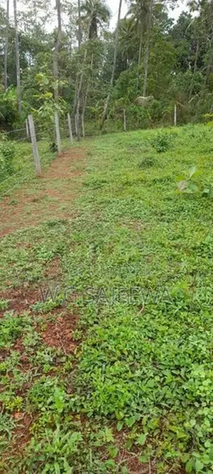10perch 50m main road facing Land for sale in Madampalla, katana