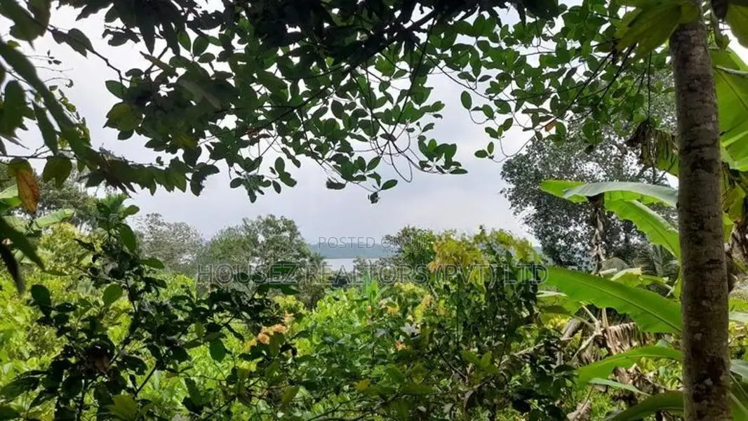 Prime 40-Perch Riverside Land For Sale in Hikkaduwa