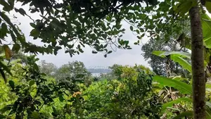 Prime 40-Perch Riverside Land For Sale in Hikkaduwa