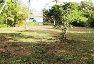 Valuable land for sale at Hikkaduwa – A prime Tourist Destination