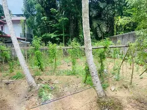 Valuable 20 Perches Land for Sale in Horana