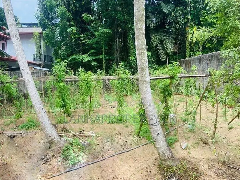 Valuable 20 Perches Land for Sale in Horana