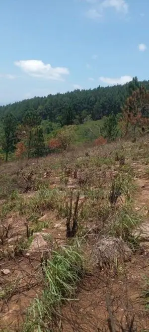 Scenic View Land for Sale in Kandy District