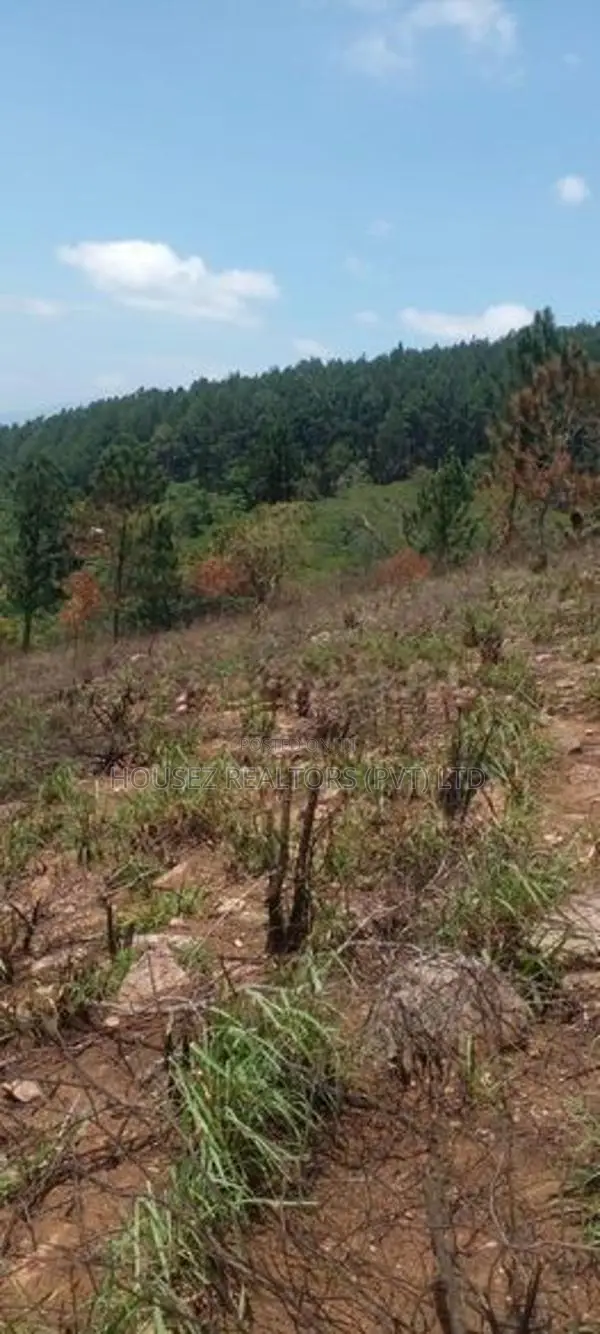Scenic View Land for Sale in Kandy District