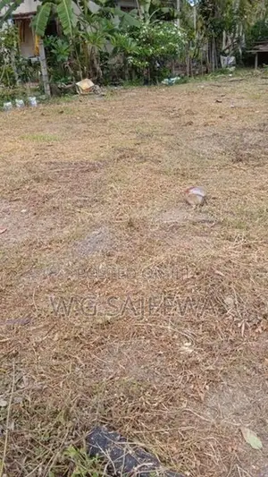 Land for sale in Kandawala, katana
