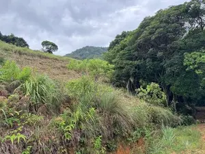 Scenic Mountain View Land for Sale– Near Meemure