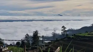 Lands for sale in Ambewela