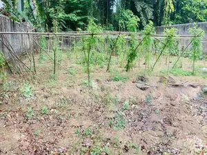 Valuable 20 Perches Land for Sale in Horana