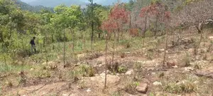 Scenic View Land for Sale in Kandy District