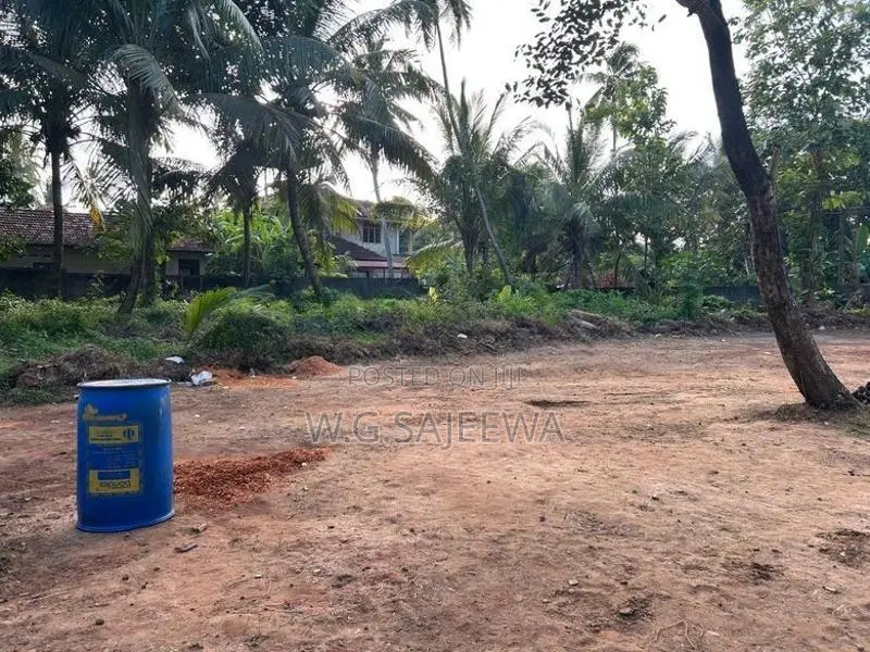 40perch land for sale in Kochchikade