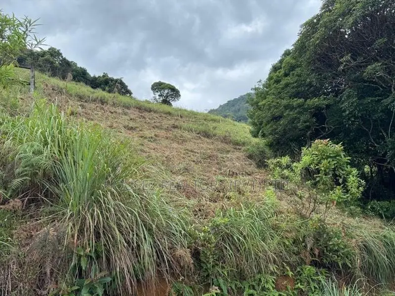 Scenic Mountain View Land for Sale– Near Meemure
