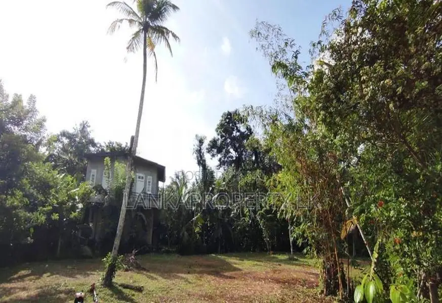 Valuable land for sale at Hikkaduwa – A prime Tourist Destination