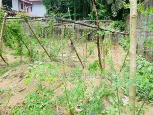 Valuable 20 Perches Land for Sale in Horana