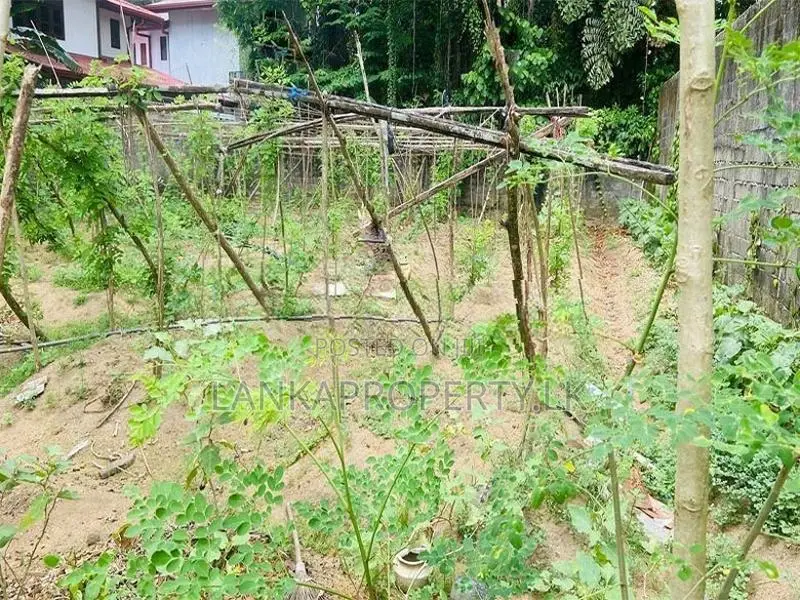 Valuable 20 Perches Land for Sale in Horana