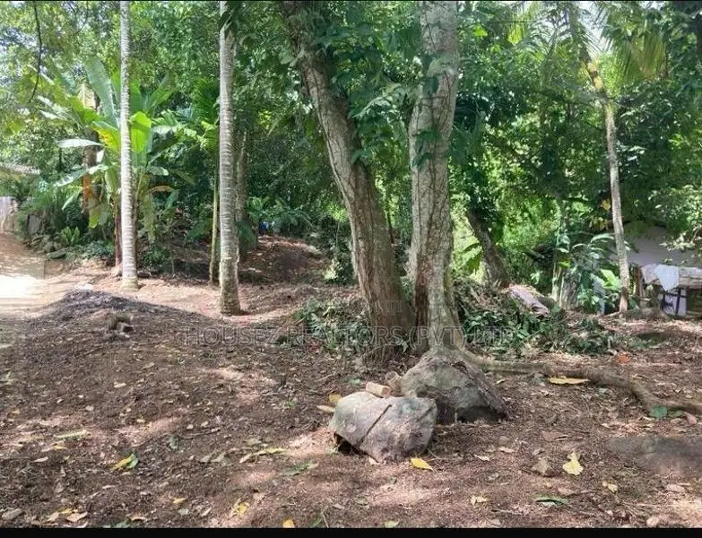 Prime 35 Perch Land for Sale – Heenatigala (Paddy View)