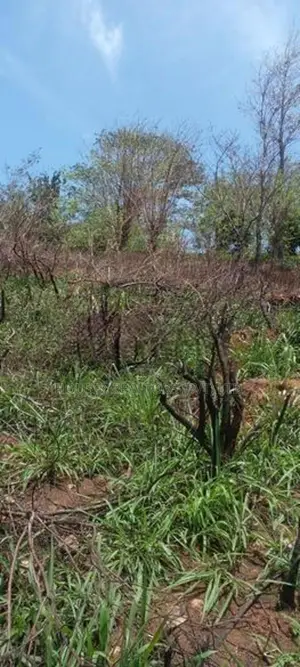Scenic View Land for Sale in Kandy District
