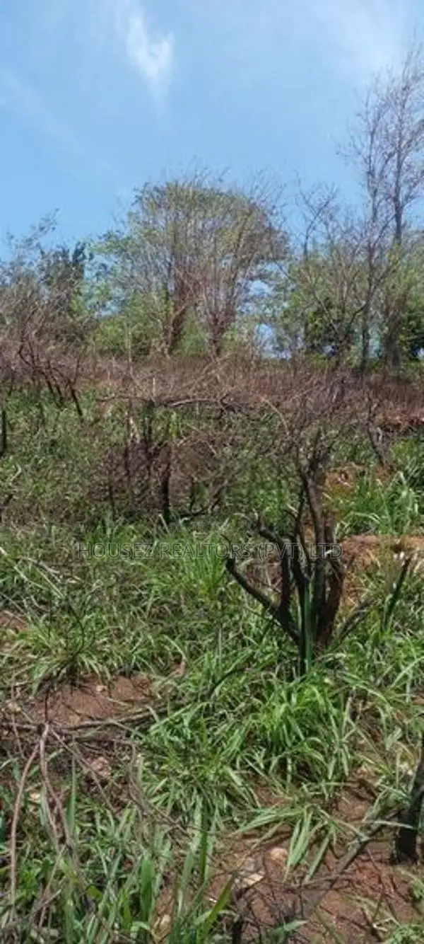 Scenic View Land for Sale in Kandy District