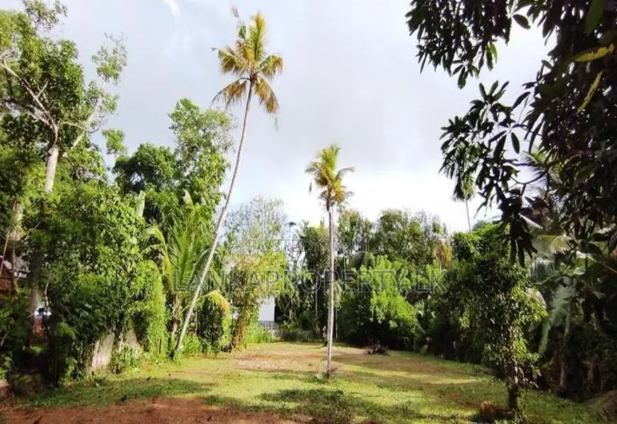 Valuable land for sale at Hikkaduwa – A prime Tourist Destination