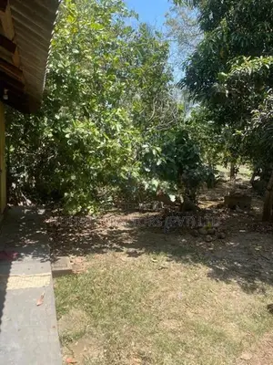 Prime Land with Two Houses for Sale in Chilaw