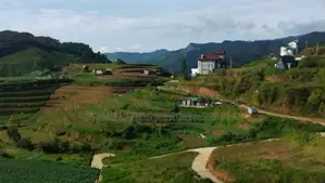 Lands for sale in Ambewela