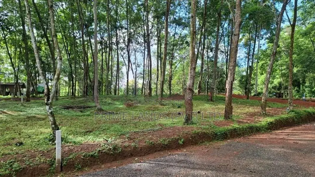 Land for Sale Diulapitiya