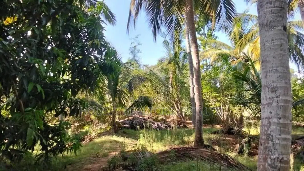 Agricultural Land for Sale – Thanamalwila Area