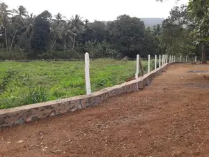 Kurunegala Alauwa ඉඩම්