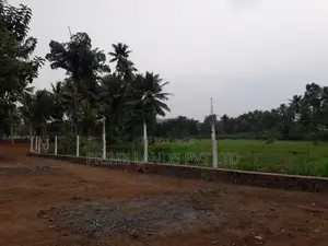 Kurunegala Alauwa ඉඩම්