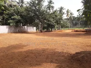 Kurunegala Alauwa ඉඩම්