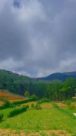 Cottages for Rent - Nuwara Eliya