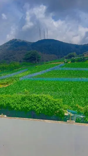 Cottages for Rent - Nuwara Eliya