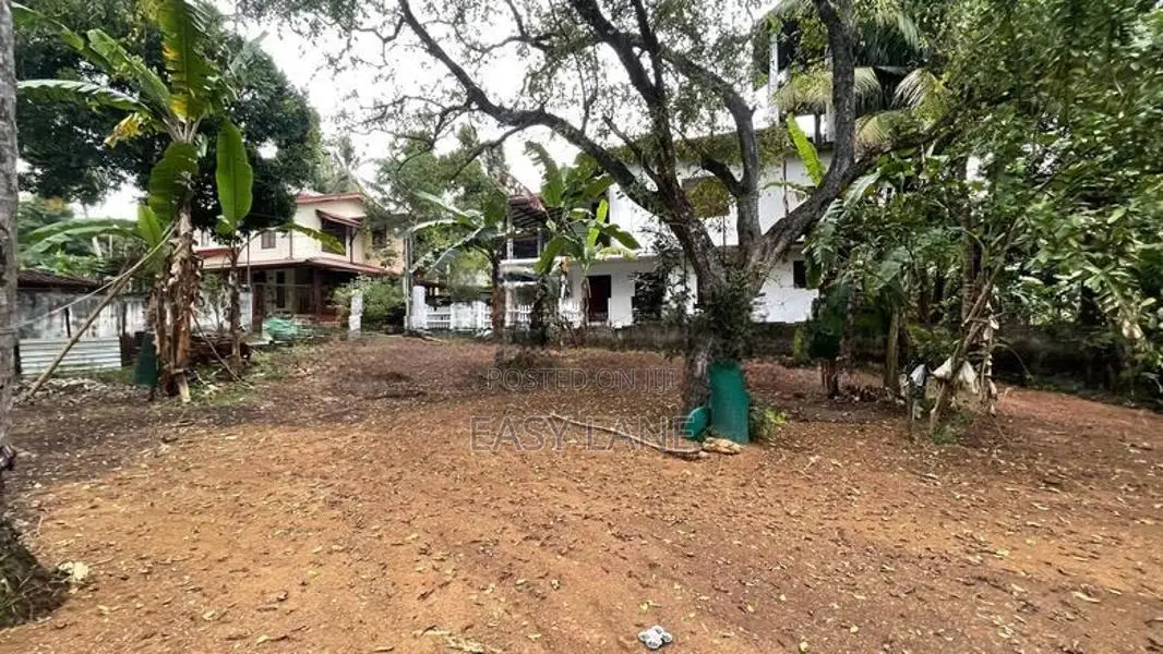 ගම්පහ – ඔරුතොට පාරේ සුපිරි ඉඩමක් විකිණීමට
