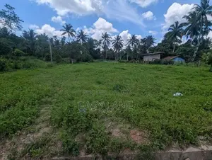 දිවුලපිටිය –Land for Sale