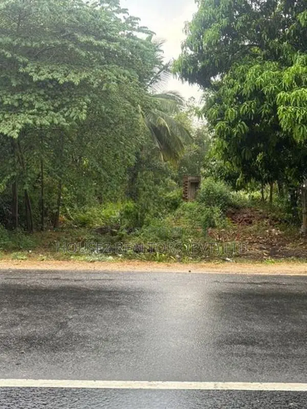 Prime Roadside Land for Sale – Near Lunugamvehera