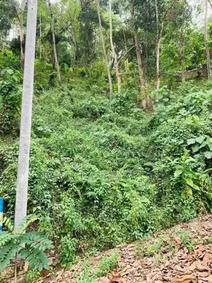 Land for Sale Nelundeniya