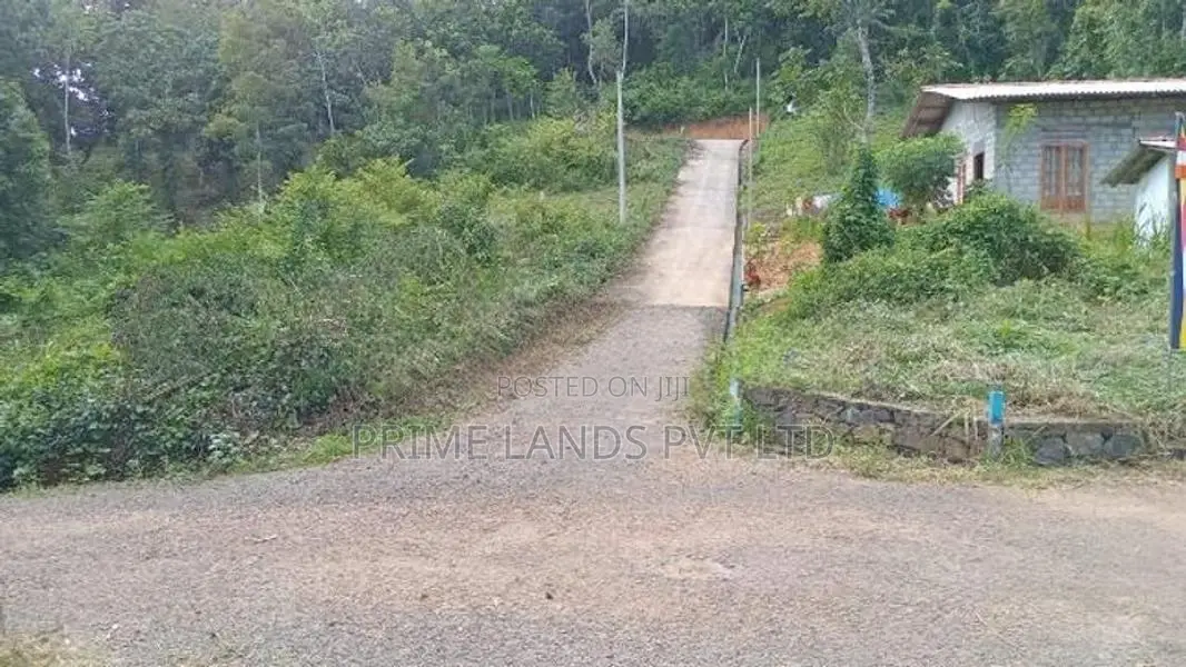 Land for Sale Nelundeniya