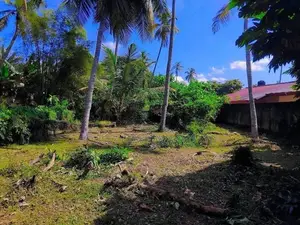 Prime Land for Sale – 34 Perches in Daluwakotuwa, Kochchikade