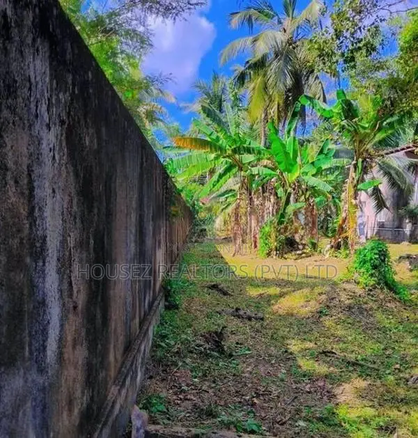 Prime Land for Sale – 34 Perches in Daluwakotuwa, Kochchikade