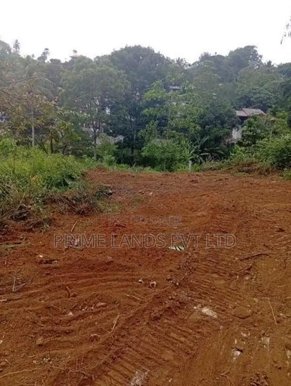 Land for Sale Gelioya