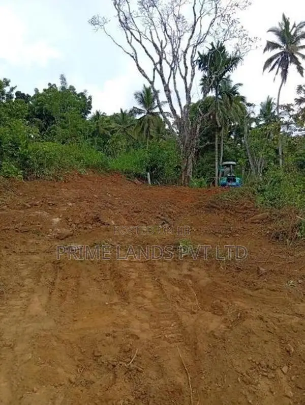 Land for Sale Gelioya