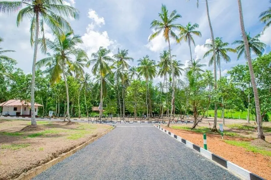 Peaceful Paddy Field Setting Land for Sale in Minuwangoda