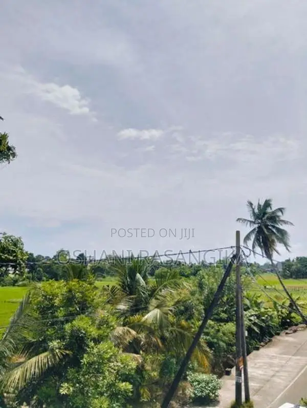 House for Rent in Pannipitiya