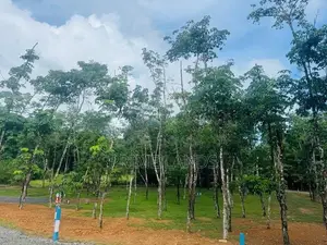Land for Sale in Ballapitiya