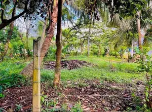 15 Perch Land for Sale in Waskaduwa – 50m to Galle Road