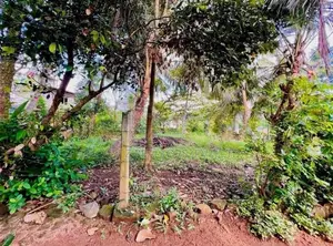 15 Perch Land for Sale in Waskaduwa – 50m to Galle Road
