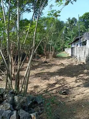 Prime Land for Sale in Nawalapitiya – Highly Residential