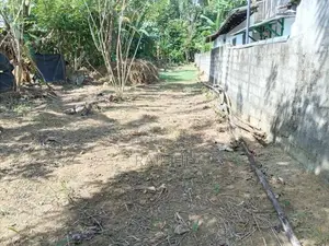 Prime Land for Sale in Nawalapitiya – Highly Residential