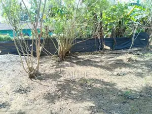 Prime Land for Sale in Nawalapitiya – Highly Residential